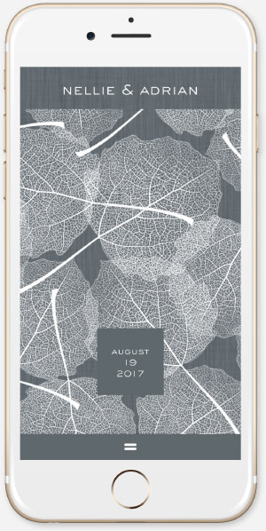 Autumn Frost App