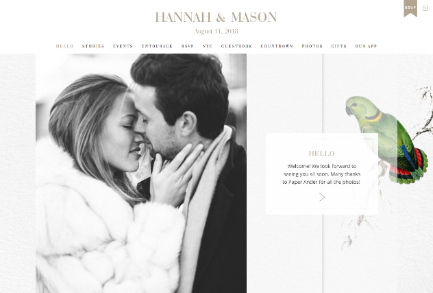 Vintage Lovebirds multi-pages website layout