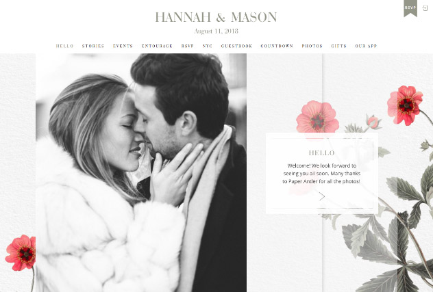Vintage Poppies multi-pages website layout