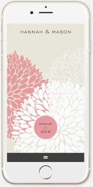 Pink Chrysanthemum App