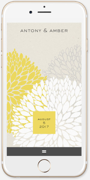 Summer Chrysanthemum App