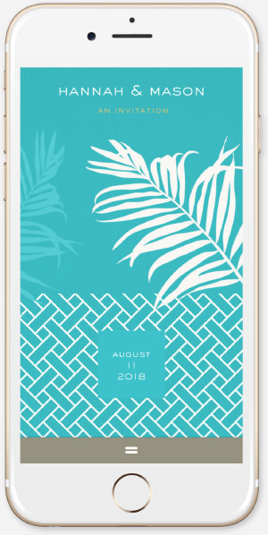 Palm Paradise - Aqua App
