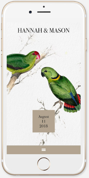 Vintage Lovebirds App